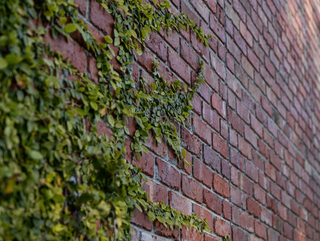 Jewell Station Apartment Project | Brick inlay