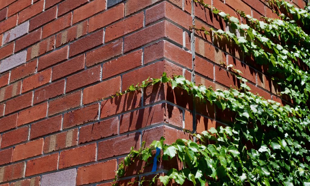 Beith & Lobb Brunswick Project | Brick inlay