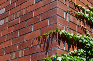 Assorted Brick Waste